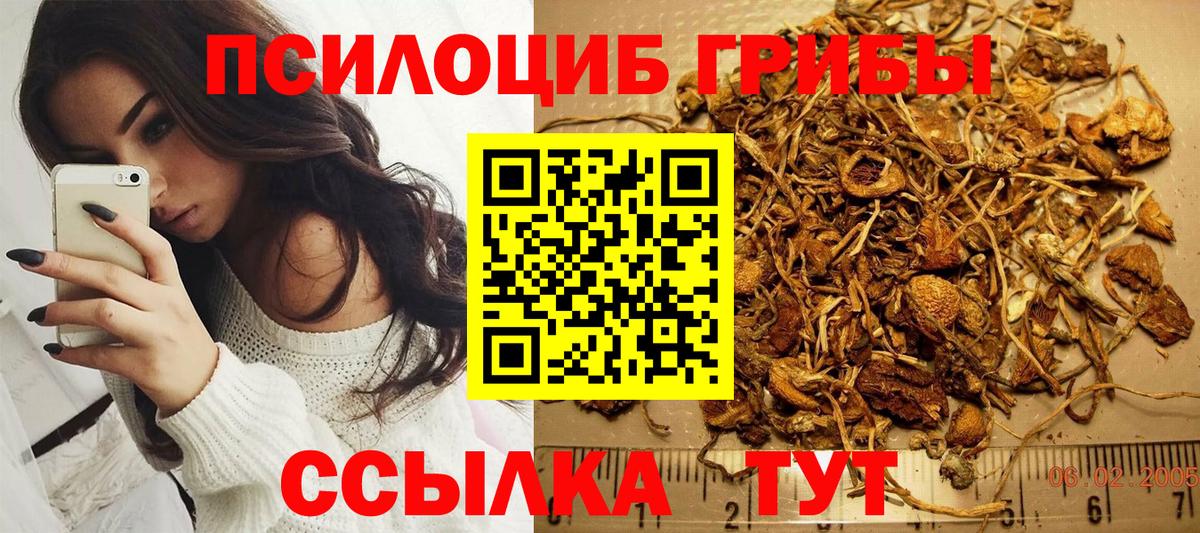 Псилоцибиновые грибы мицелий  Вход с VPN  цены наркотик  Уссурийск  Псилоцибиновые грибы Magic Shrooms 